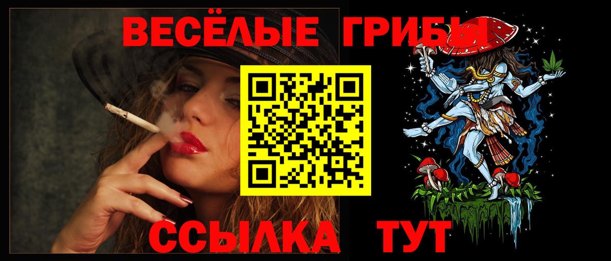 Галлюциногенные грибы Cubensis  Вход с VPN  Галлюциногенные грибы мицелий  Калач-на-Дону 