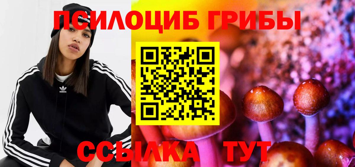 Галлюциногенные грибы прущие грибы Калач-на-Дону